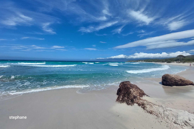 Från Calvi: 4x4 dagstur Mountain & Agriates 'Saleccia Beach