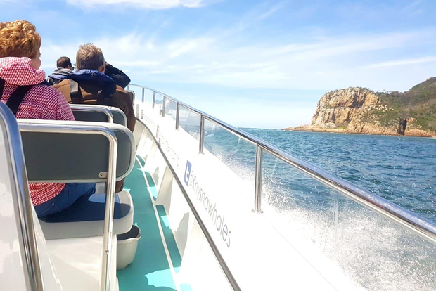 Knysna: Delfinbeobachtung und Garden Route-Küstenrundfahrt