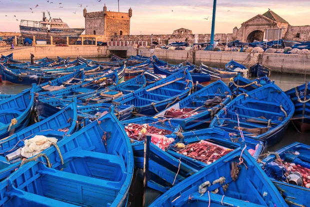 Desde Marrakech: excursión de 1 día en grupo pequeño a Esauira y la medina