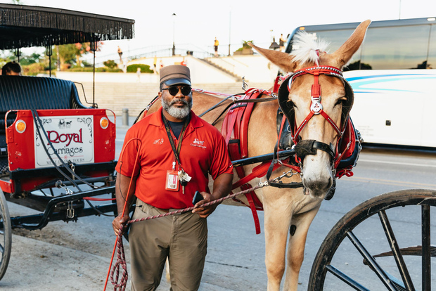 New Orleans: Giro in carrozza del Quartiere Francese