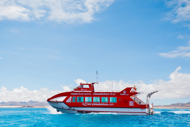 Depuis Caleta de Fuste : Retour en bus et en ferry vers l'île de Lobos