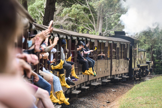 Desde Melbourne: Tren de vapor Puffing Billy y excursión por la naturaleza