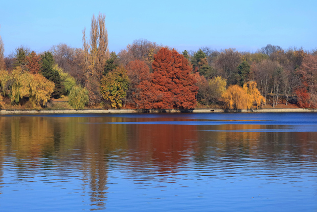 Tour panoramico di Bucarest