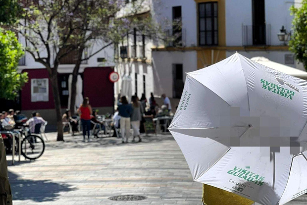 Córdoba: Tour delle tre culture per vedere la città in un giorno