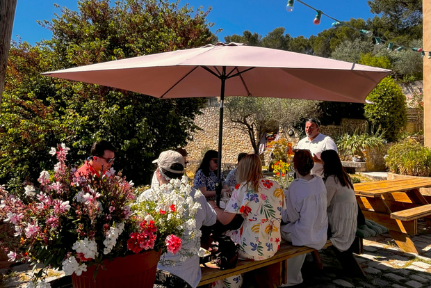 Aix-en-Provence: Half Day Wine Tour in Coteaux d'Aix