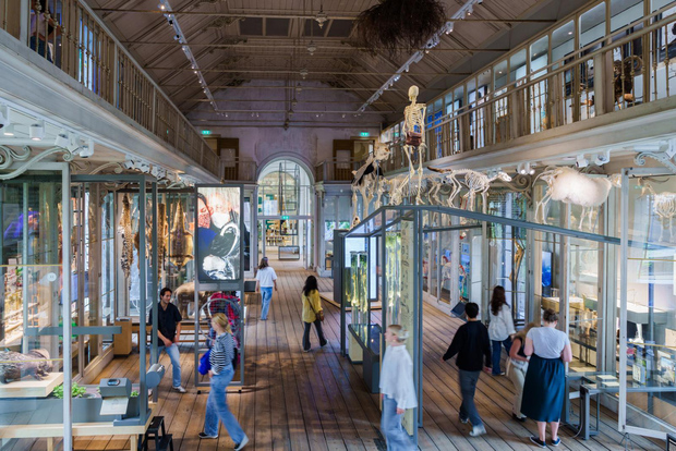 Amsterdam: Biglietto d'ingresso per il museo ARTIS-Groote