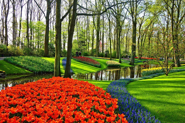 Lisse : visite privative du parc de Keukenhof et des champs de tulipes