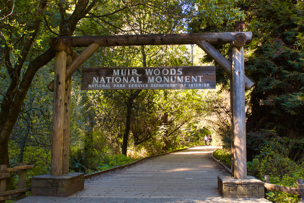 SF: Muir Woods, Sausalito, Golden Gate Bridge Private Tour