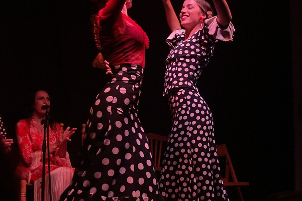 Valência: Ingresso para um autêntico show de flamenco
