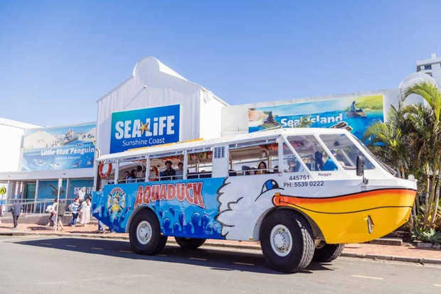 Mooloolaba : 1 heure d'excursion sur terre et sur l'eau