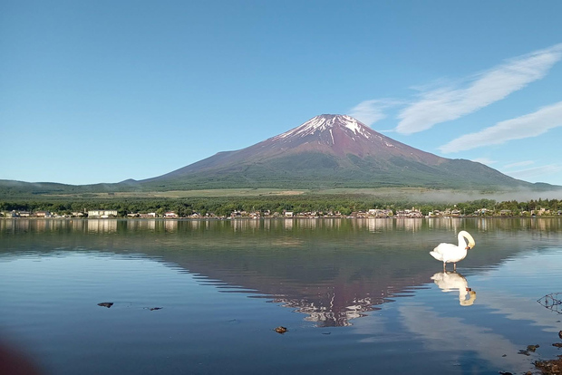 东京出发富士山全天私人定制游（可定制）