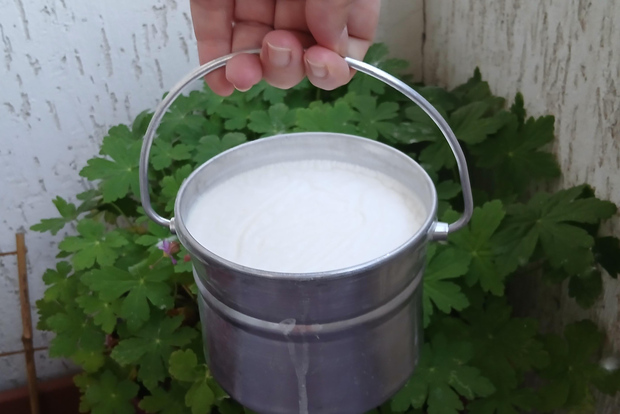 Sófia: Prove o iogurte búlgaro Kiselo Mlyako numa casa de família