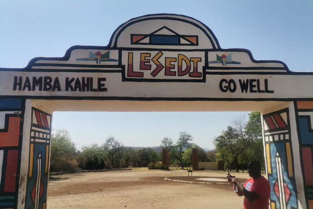 Johannesburg: Lion Park Safari and Cultural Village Tour