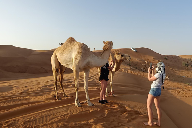 Dubai: safari sulle dune rosse con BBQ e spettacoli premium