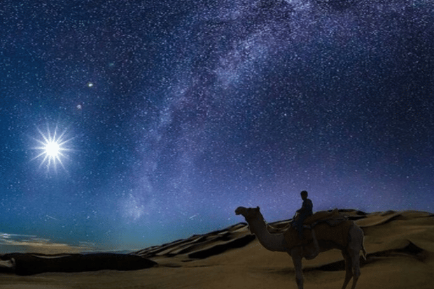 多哈：夜间沙漠探险之旅·星空观测与骆驼骑行