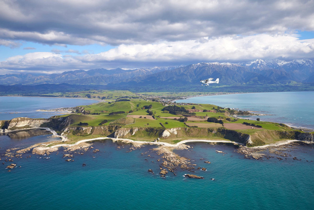 Kaikoura: volo panoramico in aereo costiero e alpino
