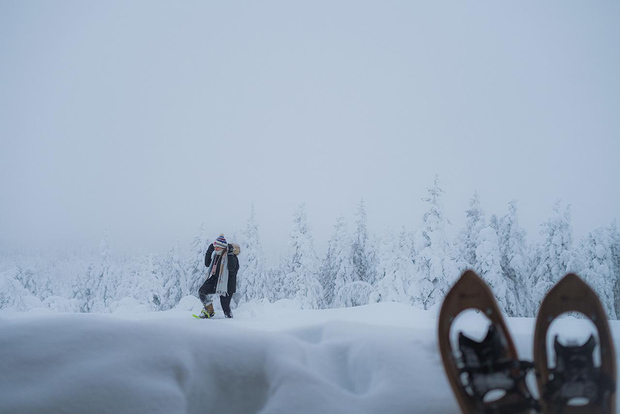 Rovaniemi: Snowshoeing in the Frozen Forest