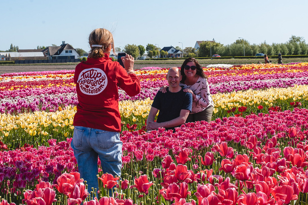 Da Amsterdam: Tour dei giardini di Keukenhof e dell'esperienza dei tulipani