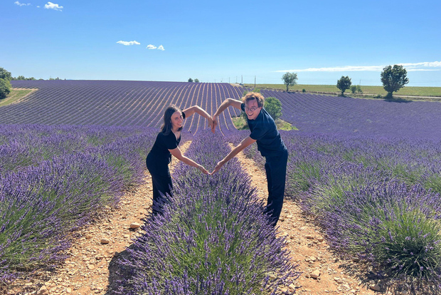Da Marsiglia: tour dei campi di lavanda di Valensole dal porto crocieristico