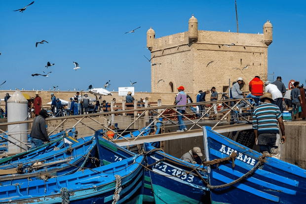 Viagem de um dia em grupo pequeno de Marraquexe a Essaouira Mogador