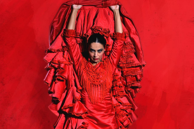 Madrid: "Emociones" Live Flamenco Performance