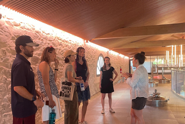 Montpellier : halvdagsbesök och rundtur på Pic St Loup