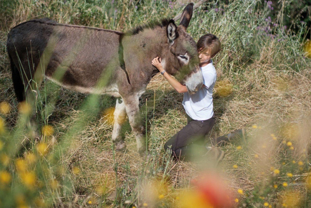 Walk with Donkeys in the Hills of Pisa