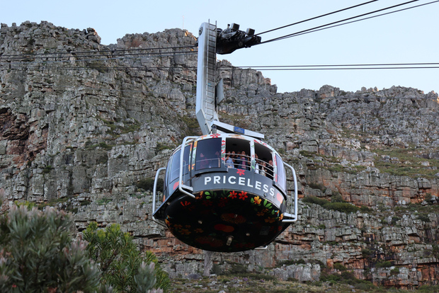 Cape Town: Cape Peninsula & Table Mountain Private Day Trip