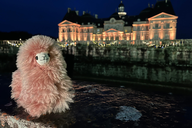 Parigi: Tour guidato privato di Vaux-le-Vicomte