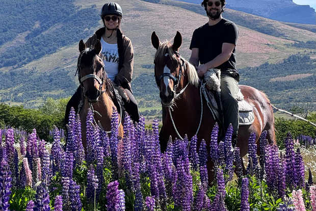 Puerto Natales: Paseos a Caballo con Horse Connection