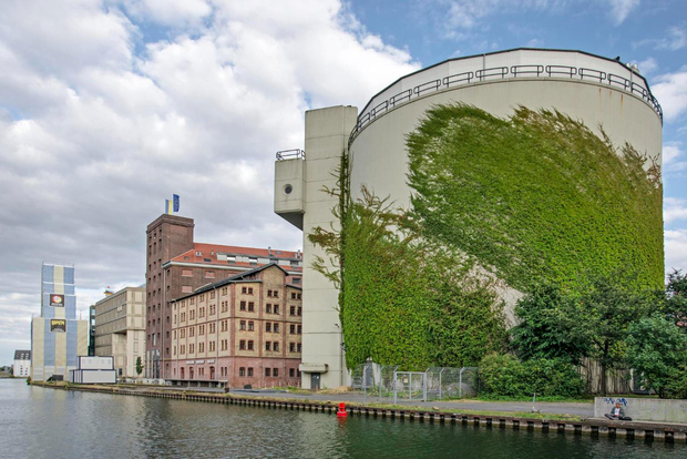 Münster: Walking Tour of Instagram-Worthy Spots with a Local