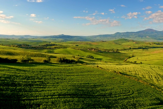 Florence: Chianti, Montalcino & Montepulciano Private Tour