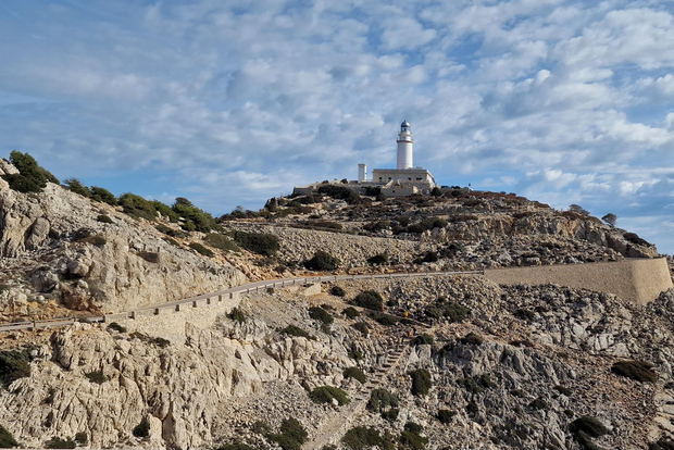 Mallorc: Cap & Cava - Minibussresa till Formentor - TYSKA