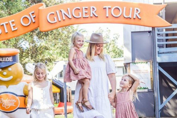 Traslado de ida y vuelta en autobús de la Fábrica de Jengibre y Nueces