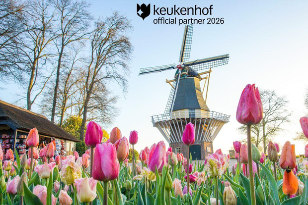 Amsterdam: ingresso al Keukenhof e bus navetta con ritorno flessibile
