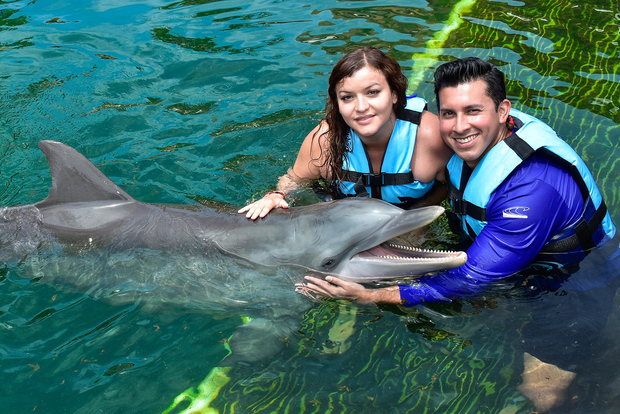 Puerto Aventuras: Encuentro con delfines y manatíes con almuerzo