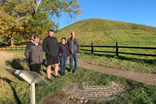 Desde Estocolmo: Excursión a los Sitios Vikingos de Uppsala y Sigtuna