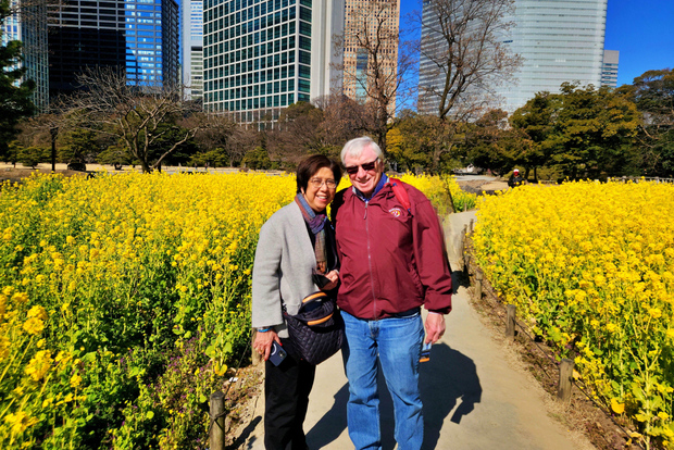 Tokyo: tour privato e personalizzabile - Esperienza completa