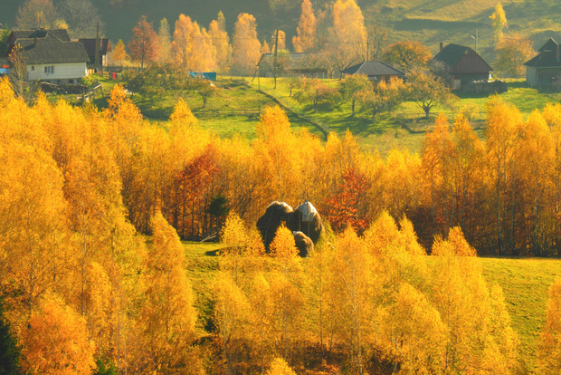 Från Brasov: Dagstur till rumänska bergsbyar