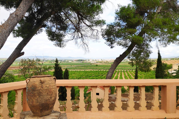 Valencia: Escursione di un giorno alla grotta e cantina di Utiel-Requena con degustazione