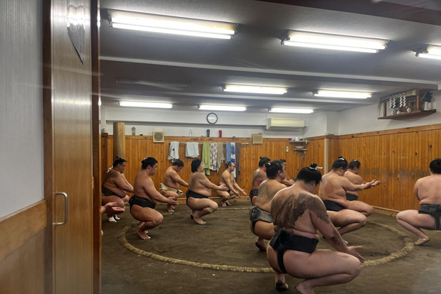 Tokyo Highlights Tour: Sumo, sushi, te och Tokyo Tower