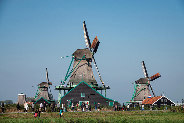 Da Amsterdam: scopri i mulini a vento e il formaggio di Zaanse Schans