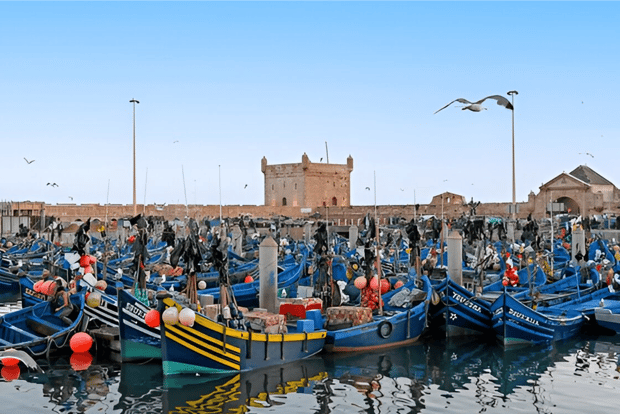 Viagem de 1 dia em grupo pequeno de Marraquexe a Essaouira Mogador