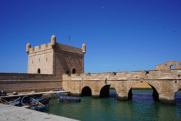 Da Marrakech: escursione di un giorno a Essaouira in piccoli gruppi