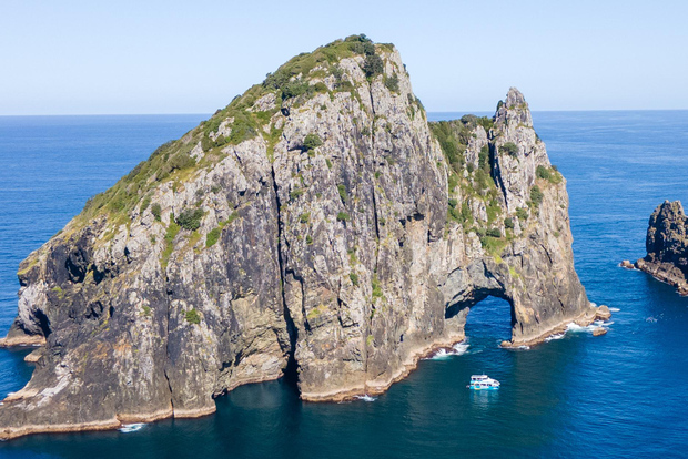 Paihia/Russell: Hole in the Rock Cruise mit 2 Inselstopps