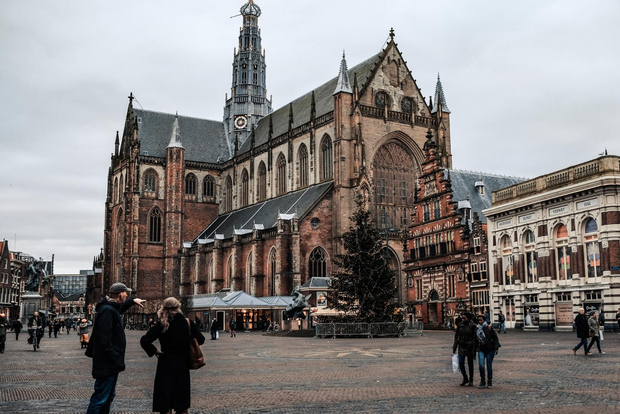 Da Amsterdam ad Haarlem: Escursione privata di un giorno