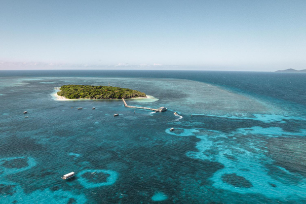 From Cairns: Half-Day Afternoon Cruise to Green Island