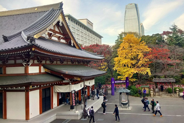 Tokyo: tour a piedi della Tokyo Tower, del Parco di Shiba e del Tempio di Zojoji
