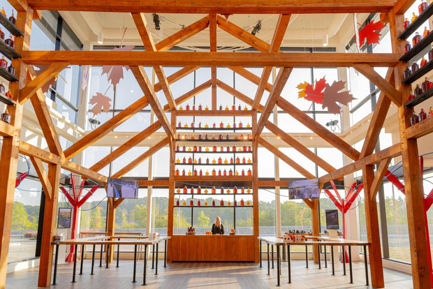 Niagara Falls Tour med båtkryssning utan biljettkö