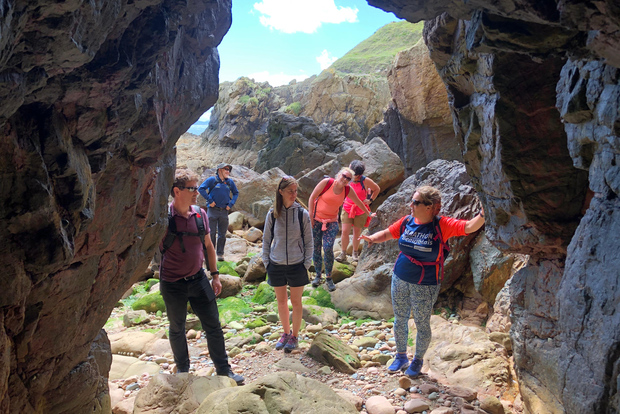 Dublino: Tour escursionistico Howth Safari